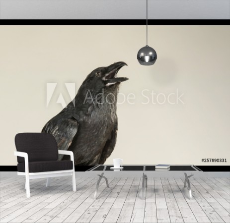 Image de Portrait of a screaming black crow